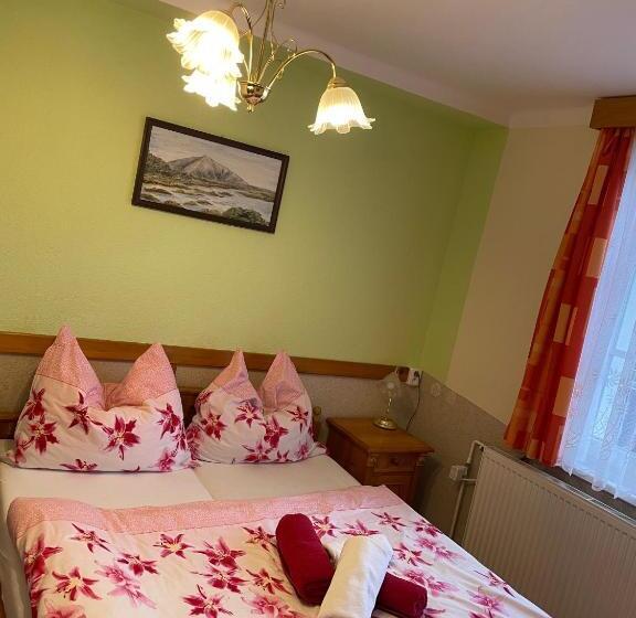 חדר סטנדרט, Pension švýcarský Dům špindlerův Mlýn