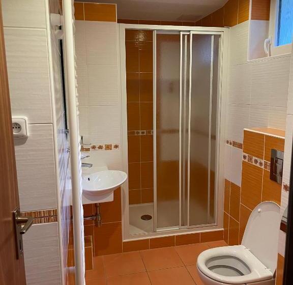 חדר סטנדרט, Pension švýcarský Dům špindlerův Mlýn