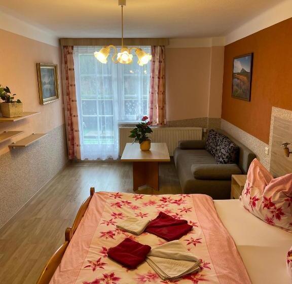 חדר סטנדרט, Pension švýcarský Dům špindlerův Mlýn