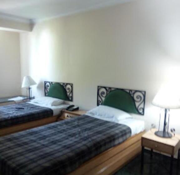 חדר אקונומי, The Hotel Airport , Vadodara