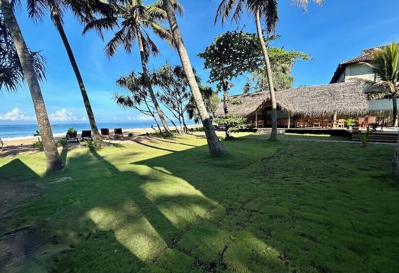 디럭스 테라스 룸 바다 전망, Bombay Bicycle Club Bentota