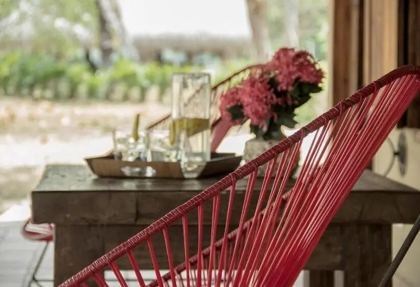 家族用バンガロー, Savanna Orinoquia Lodge
