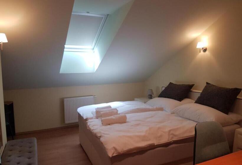 스탠다드 룸 킹사이즈 침대, Agropenzion 7divov