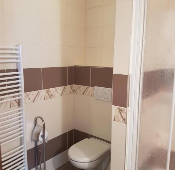 스탠다드 룸 킹사이즈 침대, Agropenzion 7divov