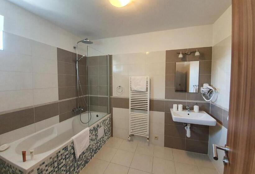 디럭스 룸, Agropenzion 7divov