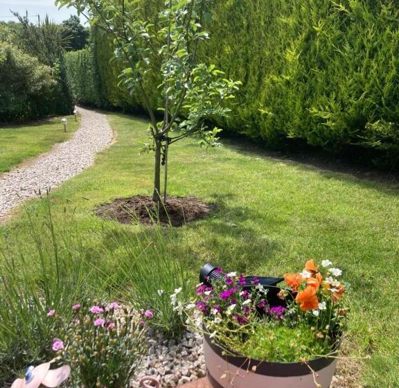 شاليه غرفة نوم واحدة, Barr S Guest Accommodation