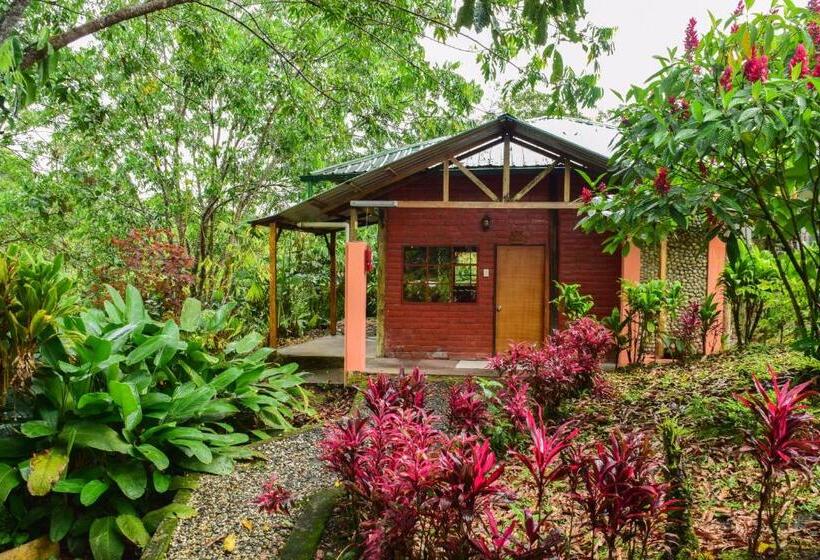 اتاق استاندارد, Hosteria Kindi Wasi