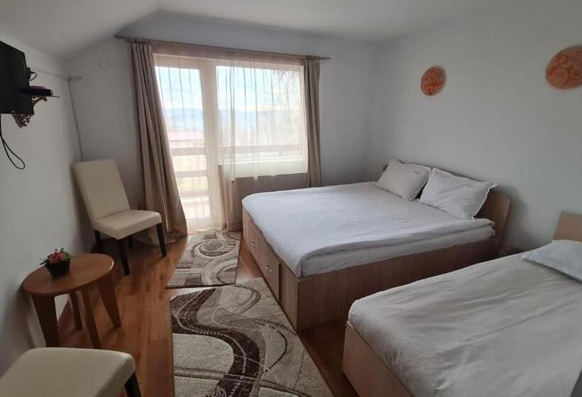 豪华房间, Pensiunea Runcu Stone