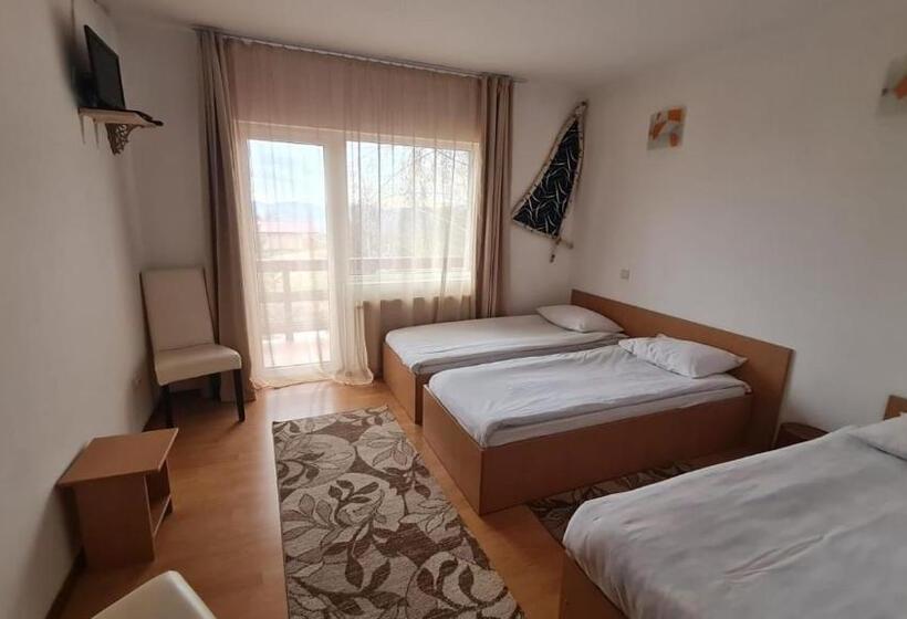 标准三人间, Pensiunea Runcu Stone