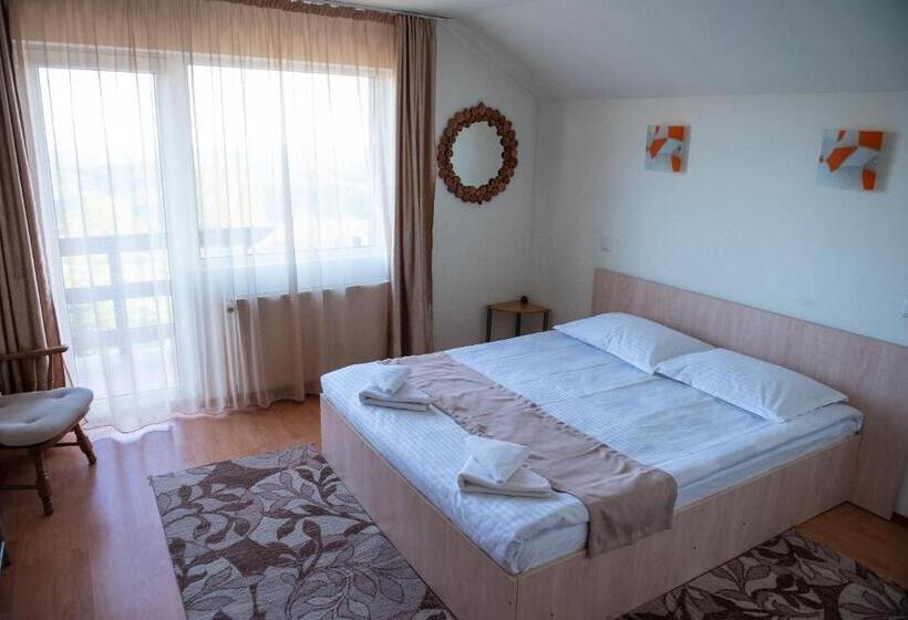 豪华房间, Pensiunea Runcu Stone