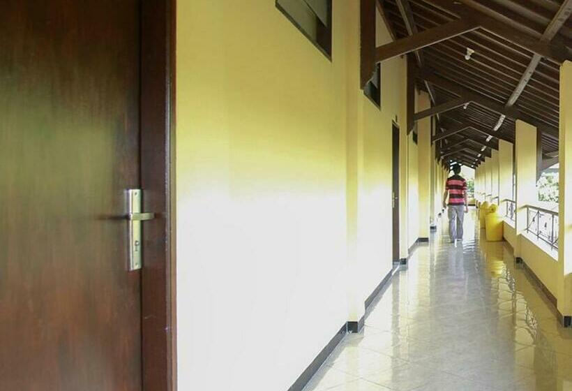 标准间, Puri Senggigi