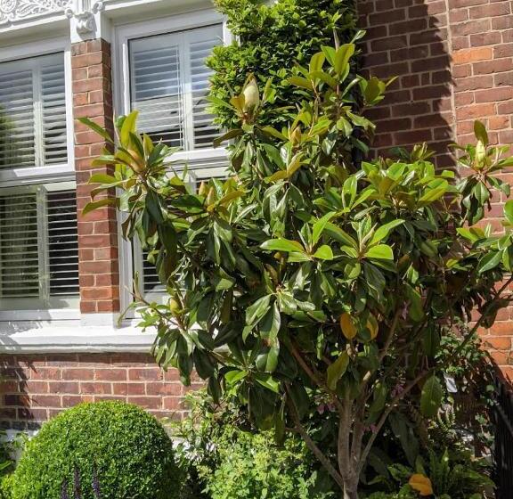 חדר דלוקס, Sidney Grove B&b