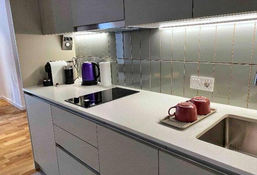 豪华工作室, B Suites