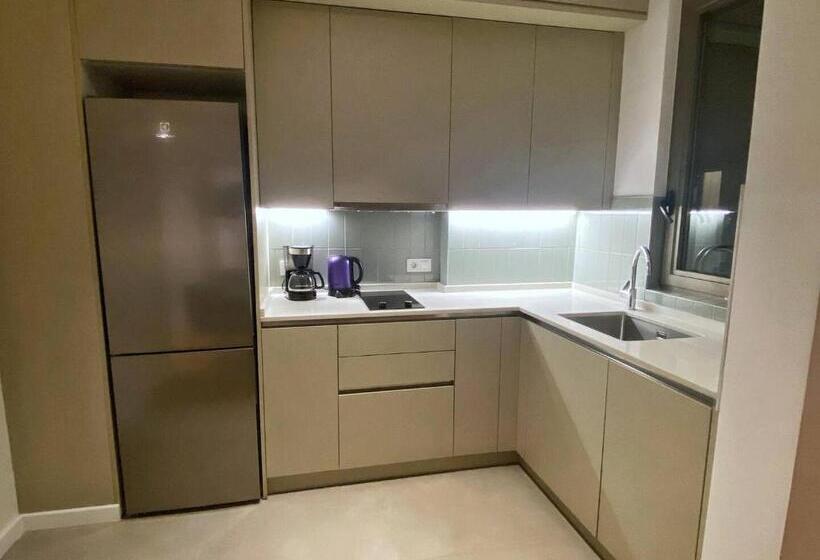 豪华套房, B Suites