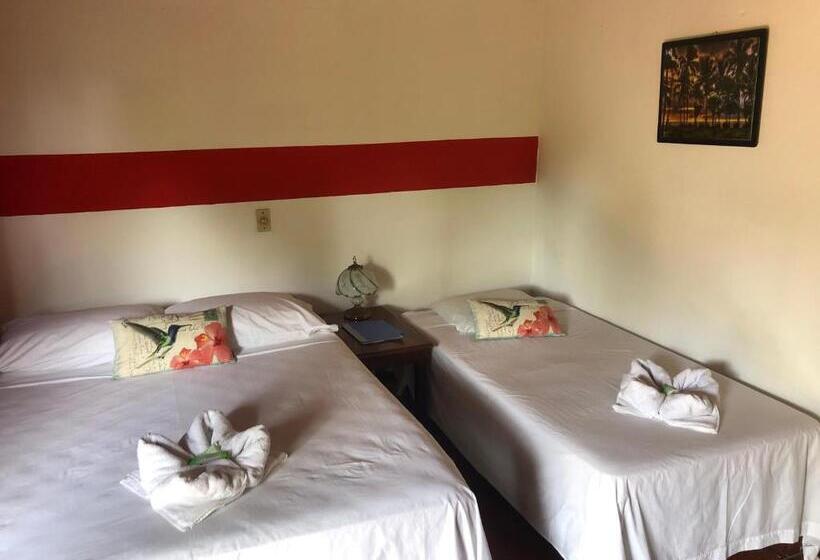 غرفة قياسية مزوَّدة بتراس, Hibiscus