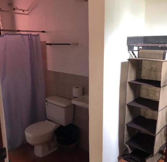 غرفة قياسية مزوَّدة بتراس, Hibiscus