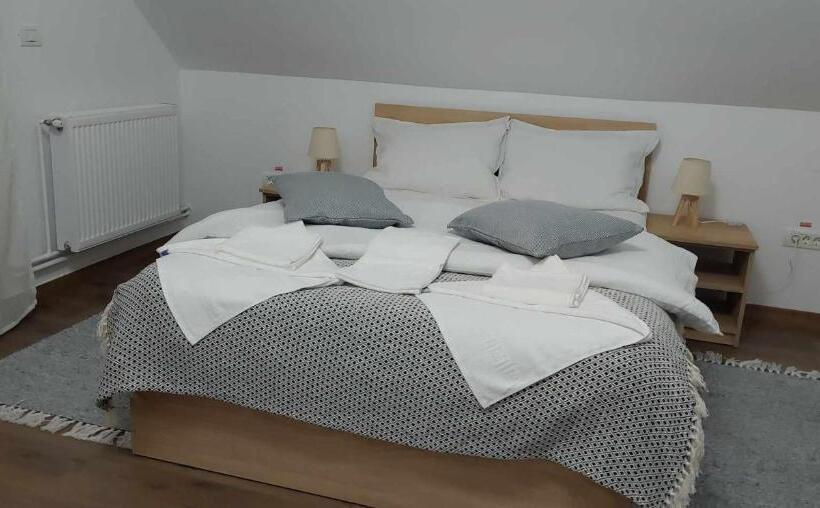 标准间带露台, Pensiunea Agroturistica Daniel