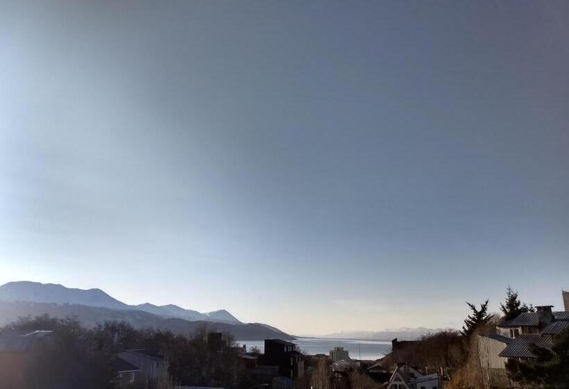 غرفة قياسية, Tzion B&b