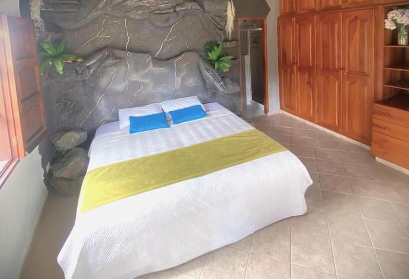 חדר סטנדרט עם מיטת קינג, El Fauno Hostel Campestre