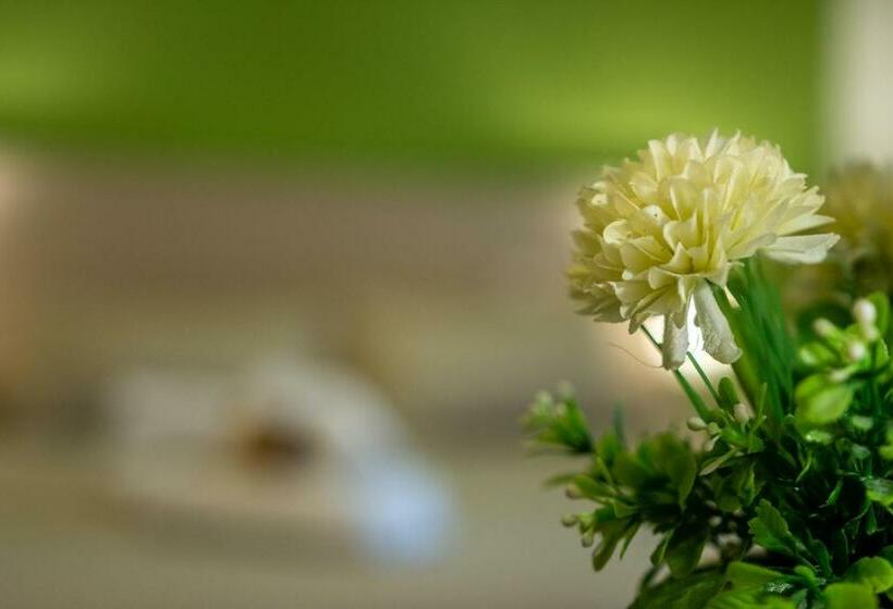 غرفة قياسية ثلاثية, B&b Cairoli