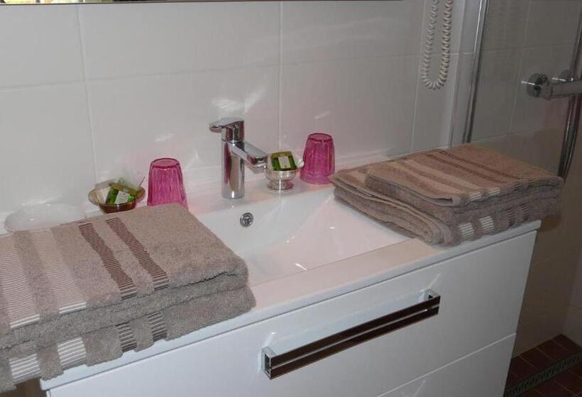 Номер Стандарт с доступом в Спа, Domaine De Janis & Spa