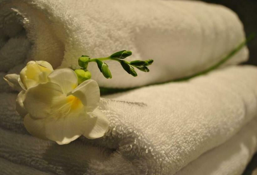 高级大房间, Domaine De L'espal