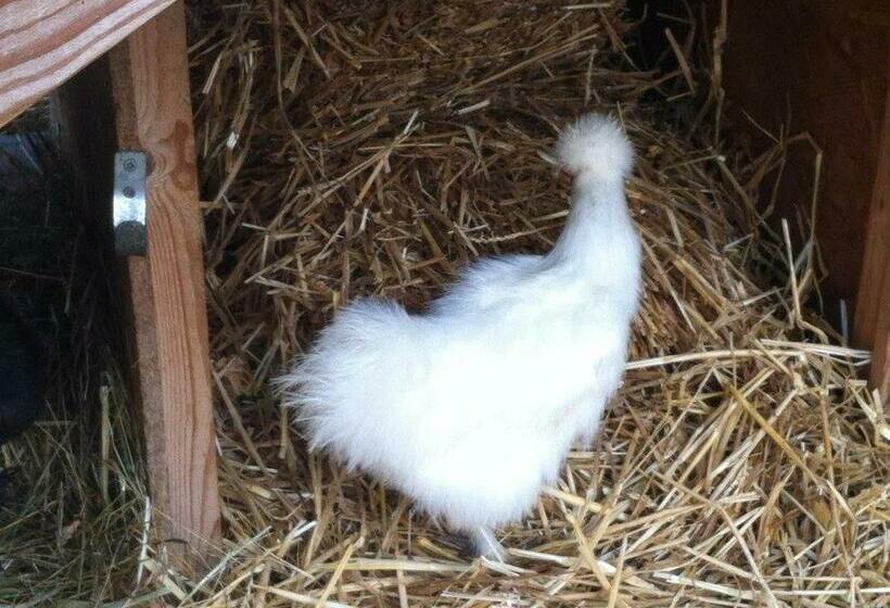 Номер Стандарт Вид на Сад, Domaine En Castanet