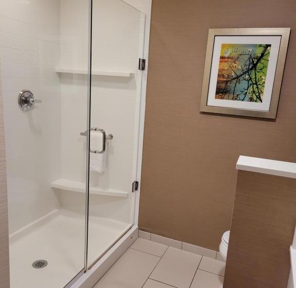 Люкс Кровать Кинг, Fairfield Inn & Suites By Marriott Butte