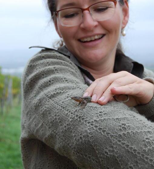 חדר קומפורט יחיד, Heinrichs Winery Bed & Breakfast