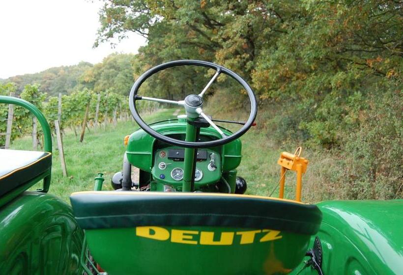 חדר קומפורט יחיד, Heinrichs Winery Bed & Breakfast