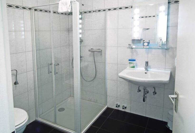 Номер Стандарт Индивидуальный, Stadt Coblenz