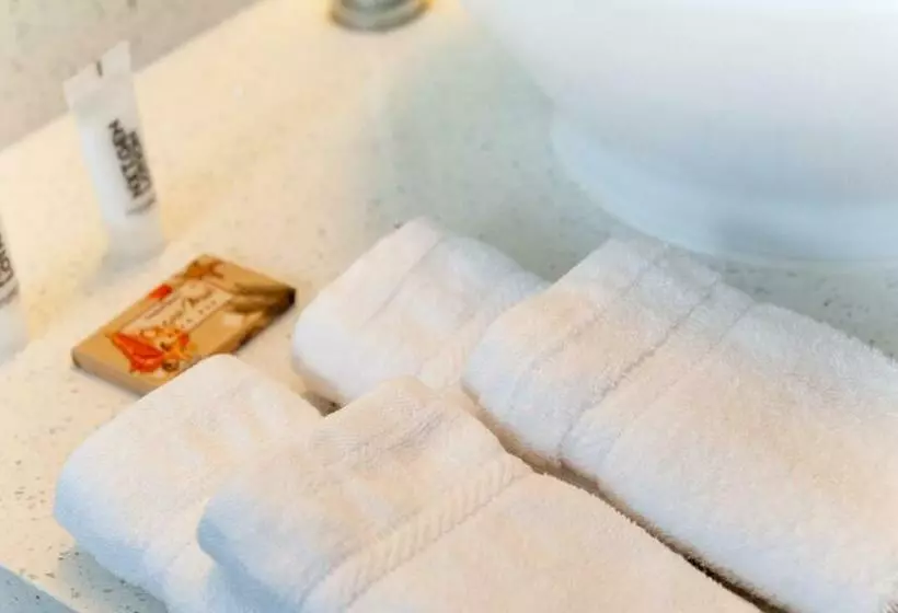 استودیوی استاندارد, Waterside Hotel And Suites