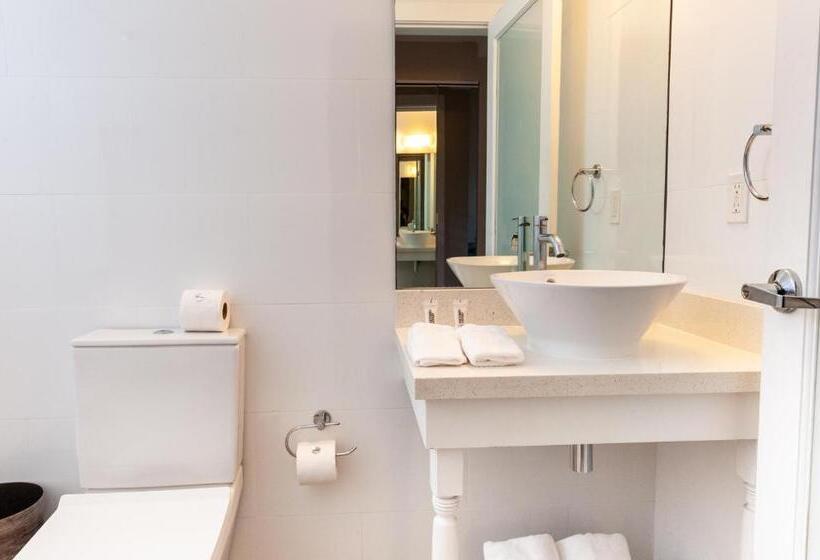 标准工作室, Waterside Hotel And Suites