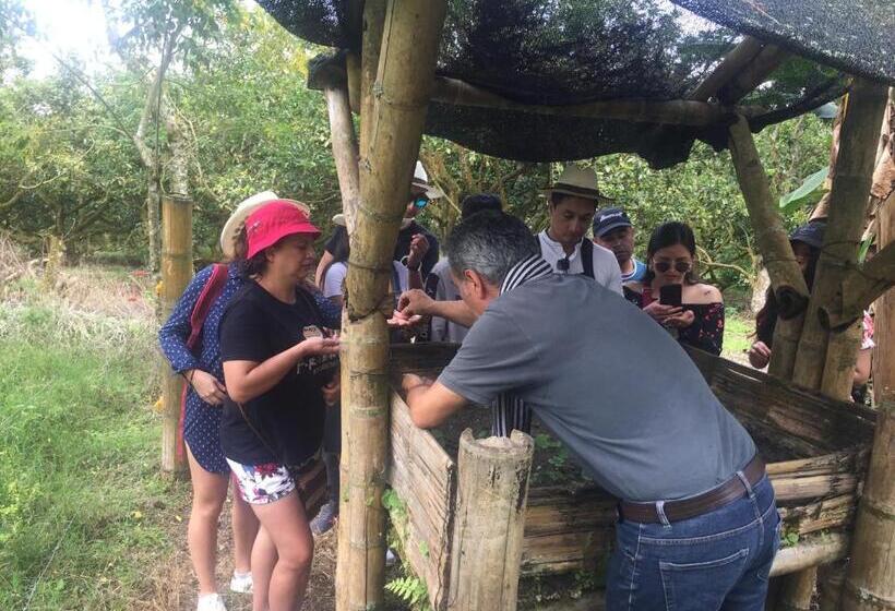 一居室别墅, Finca Tradicional El Balcón