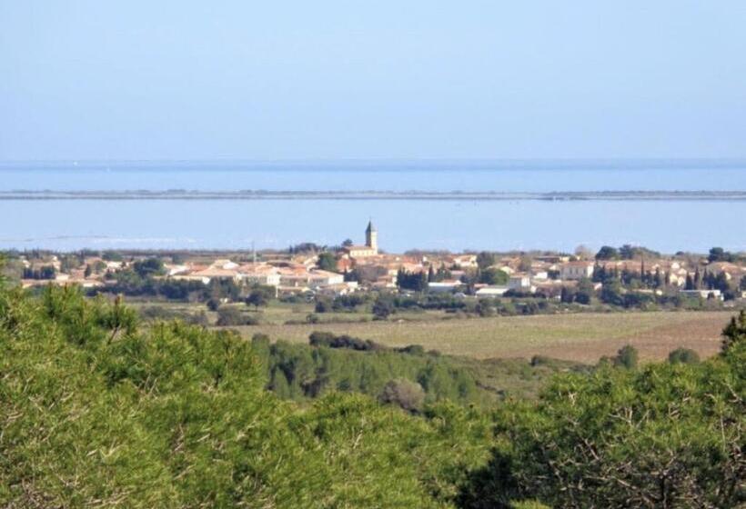 침실 1개 테라스 아파트, Gîte Le Muscat L Escapade Des Flamants Roses