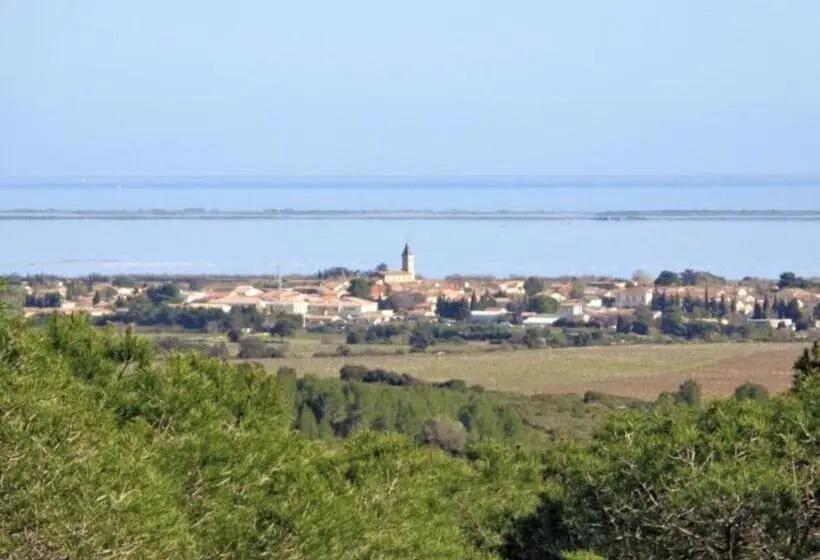 テラス付き１ベッドルームアパートメント, Gîte Le Muscat L Escapade Des Flamants Roses