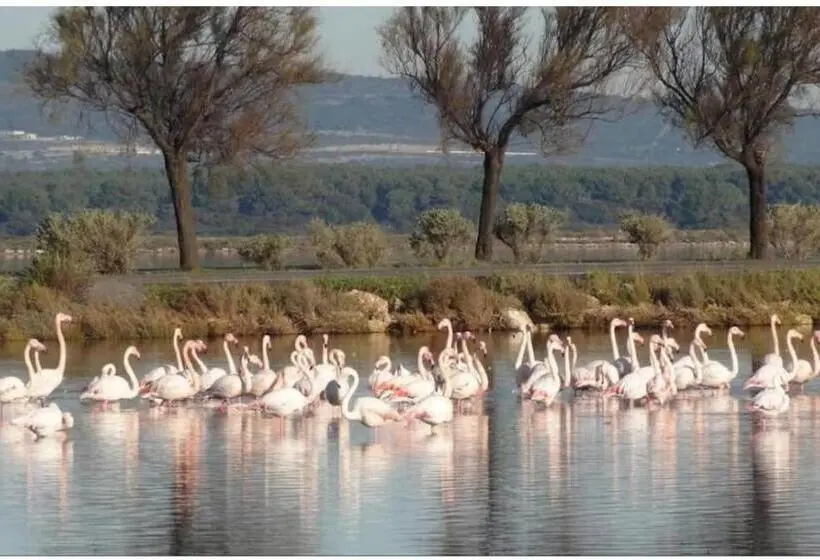 テラス付き１ベッドルームアパートメント, Gîte Le Muscat L Escapade Des Flamants Roses