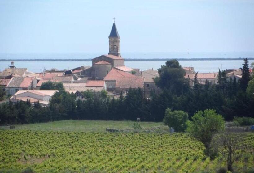 침실 1개 테라스 아파트, Gîte Le Muscat L Escapade Des Flamants Roses