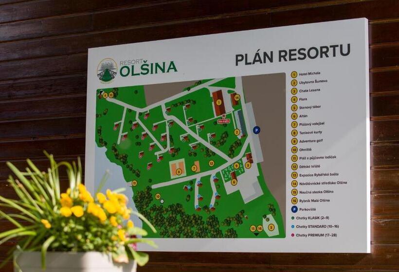 スタンダードルーム, Resort Olšina