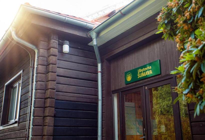 Номер Стандарт Совместная Ванная, Resort Olšina