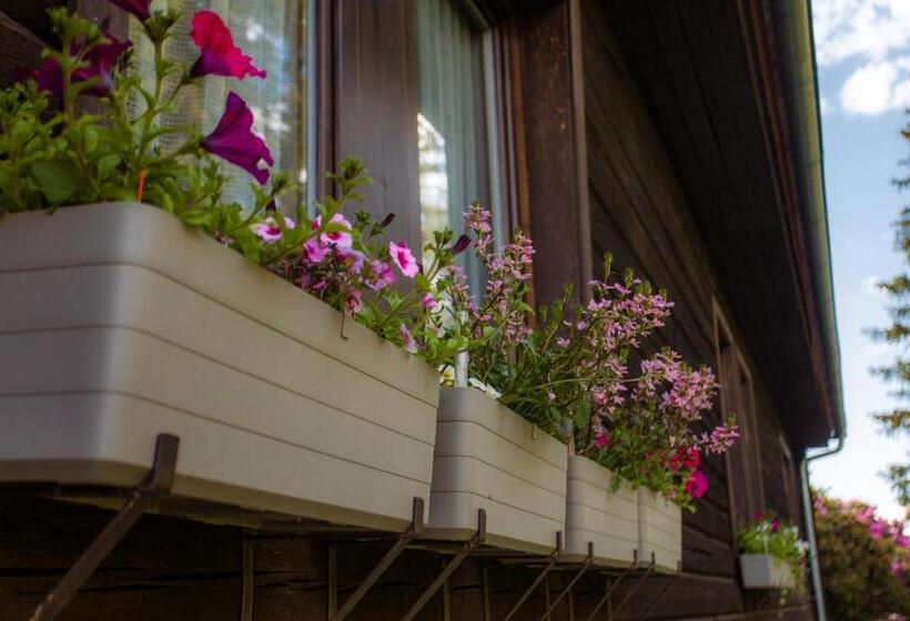 バス共有のスタンダードルーム, Resort Olšina