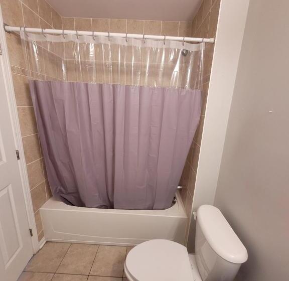 غرفة قياسية فردية, Sweet Dreams