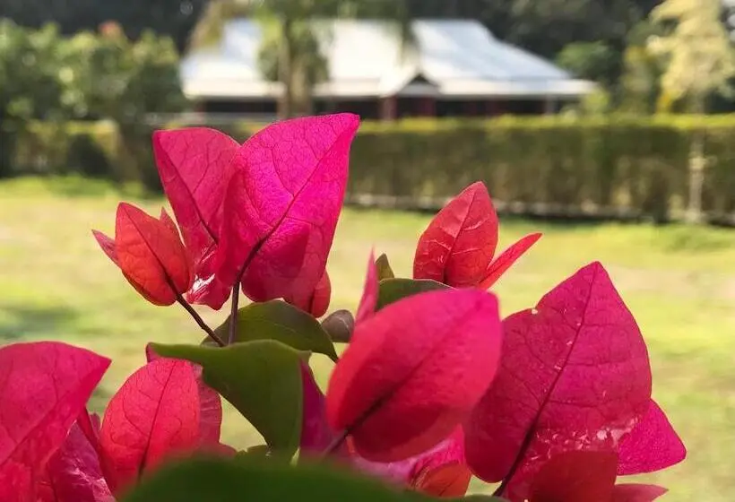 バルコニー付きデラックスルーム, Villa De Hollong