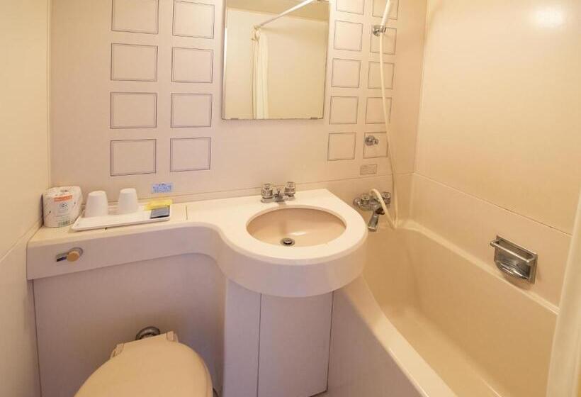 اتاق استاندارد, Tabist Hotel Sun Plaza Fuefuki Isawa