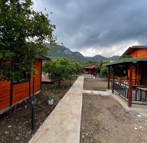 غرفة قياسية رباعية, Cıralı Anka Apart Bungalov