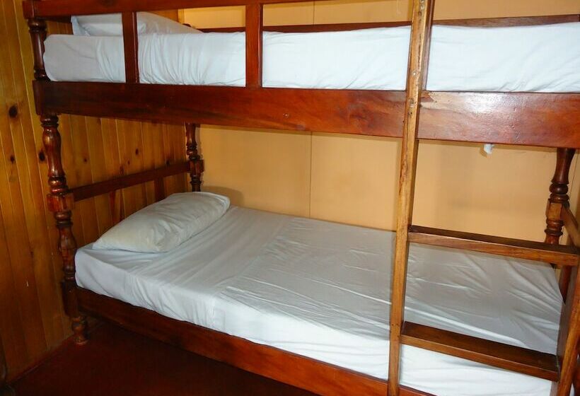 تختخواب در اتاق مشترک, Flintstones Backpackers