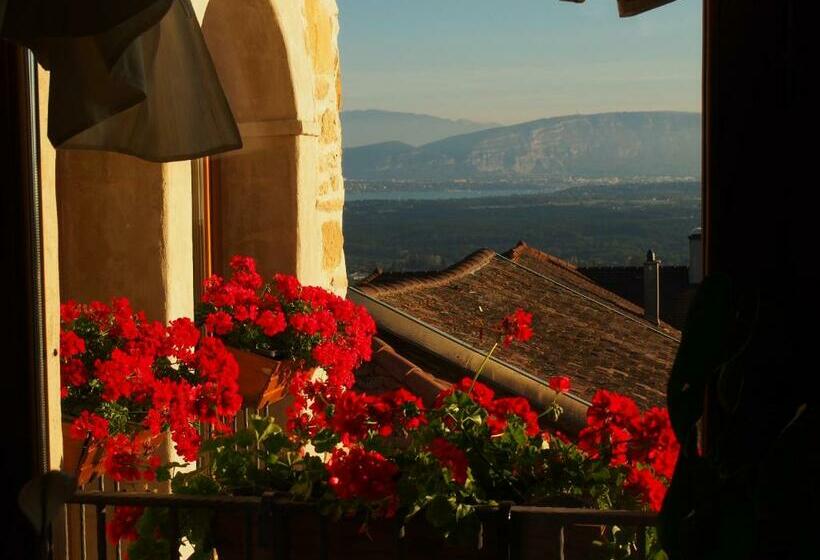חדר סופריור, Les Lumières De Genève