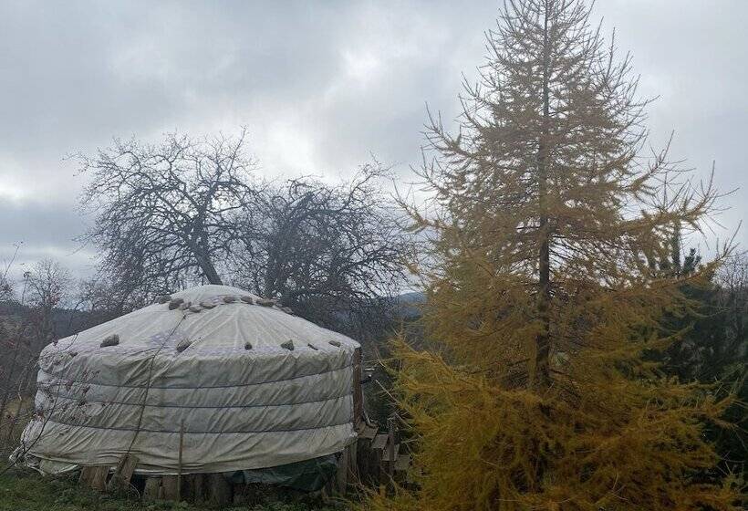 كوخ سوبيريور, Eco Yourte Les Airelles