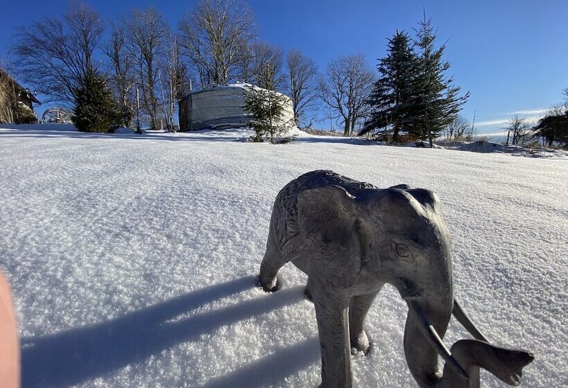 كوخ سوبيريور, Eco Yourte Les Airelles