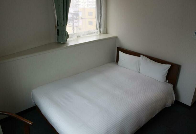 Camera Standard, Green City